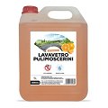 Lavavetri pulimoscerini Arancia 5 litri