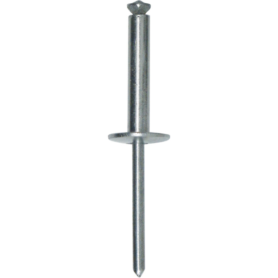 Rivetti espansi 5,0 x 25 mm