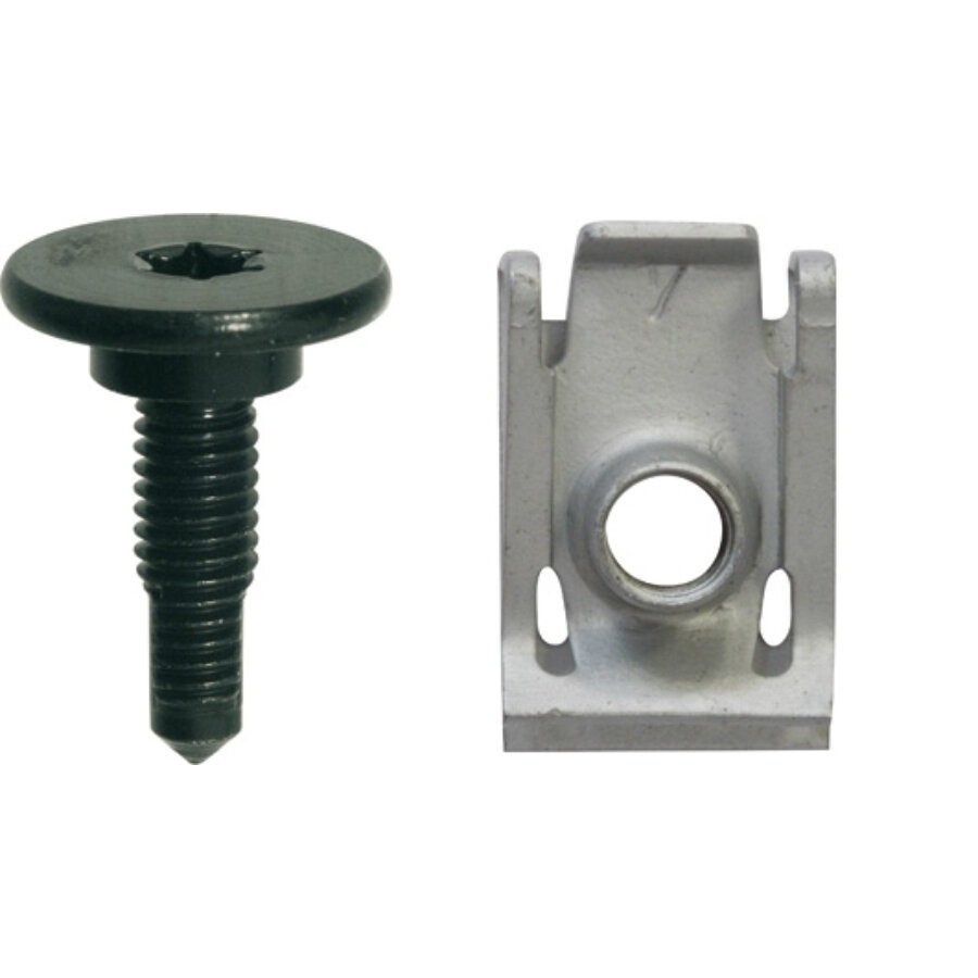 Clip 20*Viti Torx 20* Dadi Espansione Rivestimento Plastica Alta Qualità Vendit - Foto 3