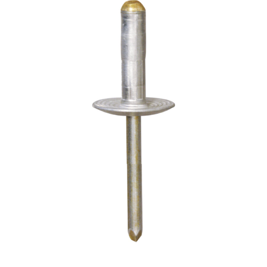 Rivetto in alluminio a testa larga 4,8 x 17 mm per altoparlanti