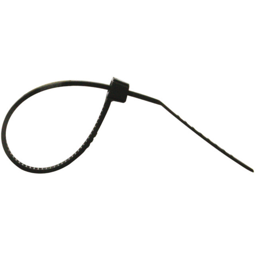 Cinghie da 2,5 x 100 mm