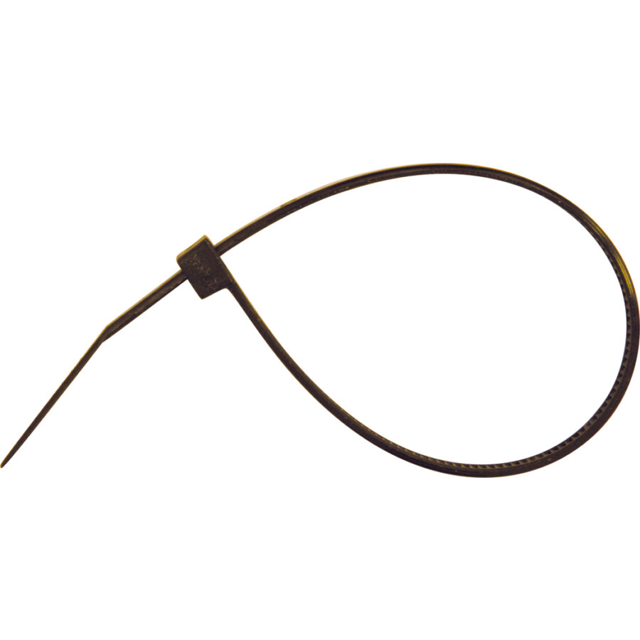 Cinghie nere da 4,6 x 200 mm