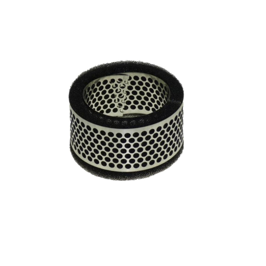 Filtro aria PURFLUX A407