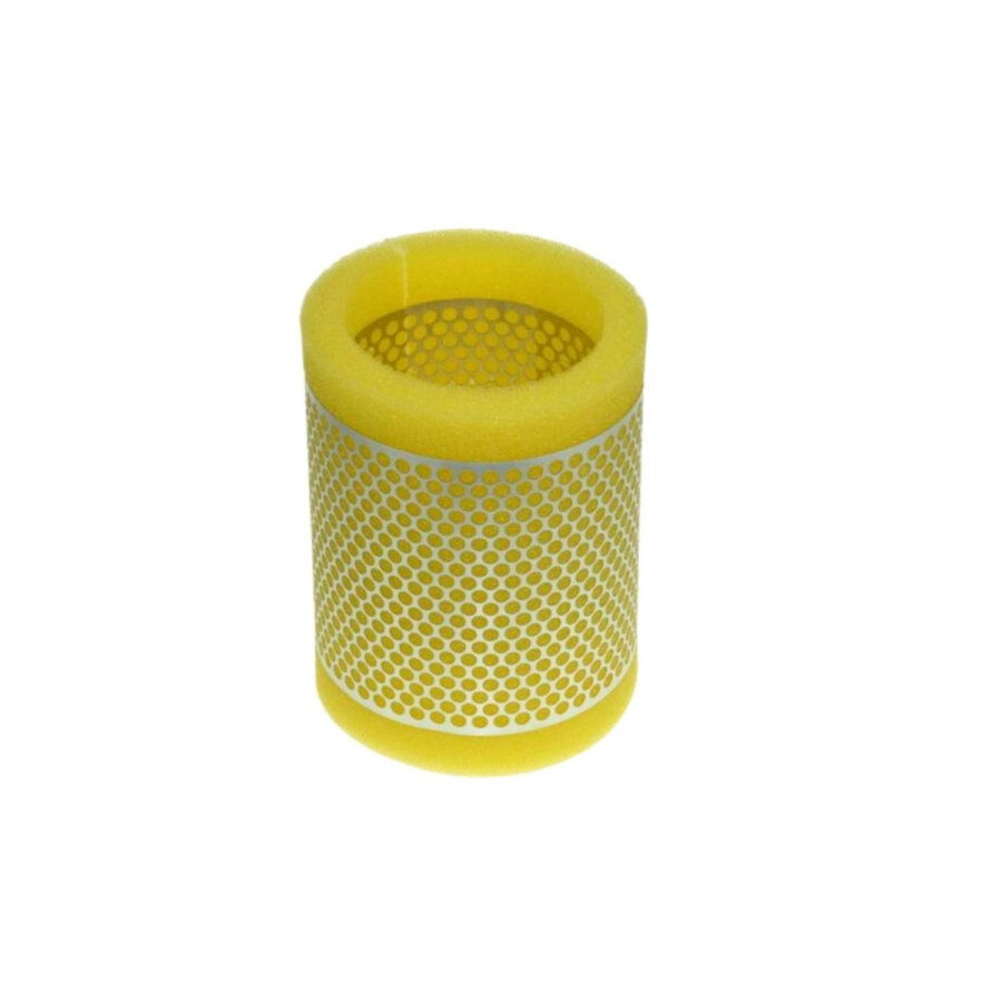 Filtro aria PURFLUX A436