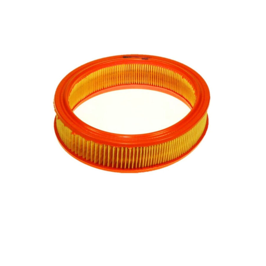 Filtro aria PURFLUX A455