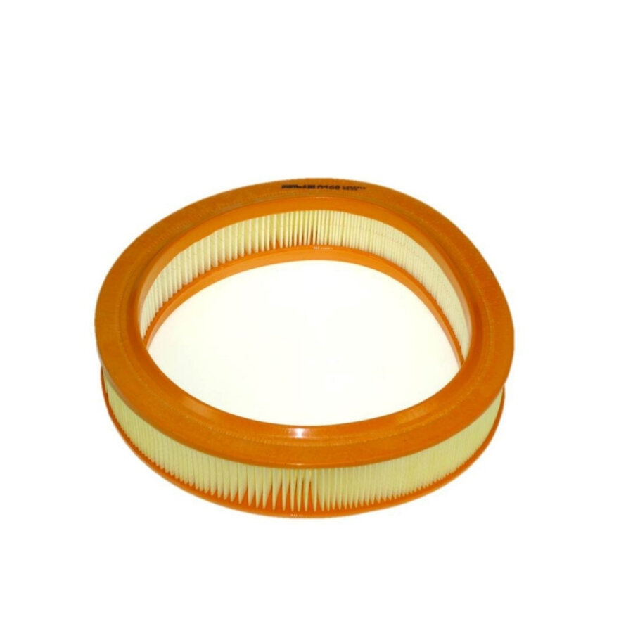 Filtro aria PURFLUX A460