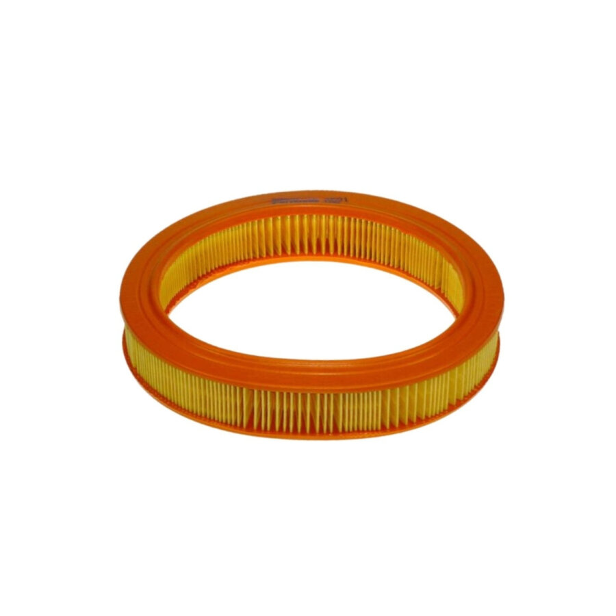 Filtro aria PURFLUX A521