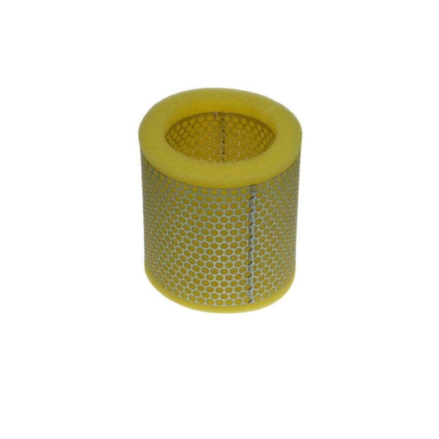 Filtro aria PURFLUX A591