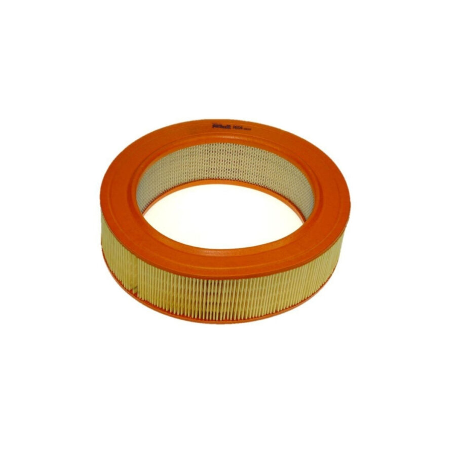 Filtro aria PURFLUX A604