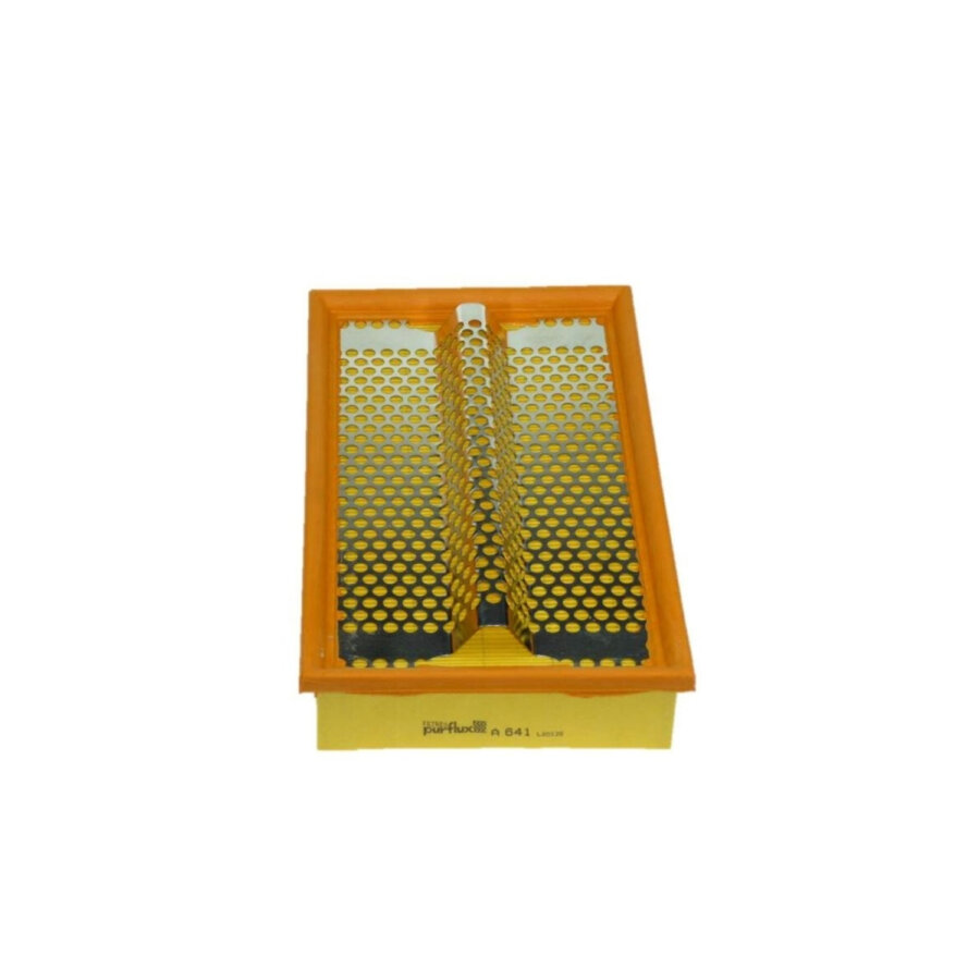 Filtro aria PURFLUX A641