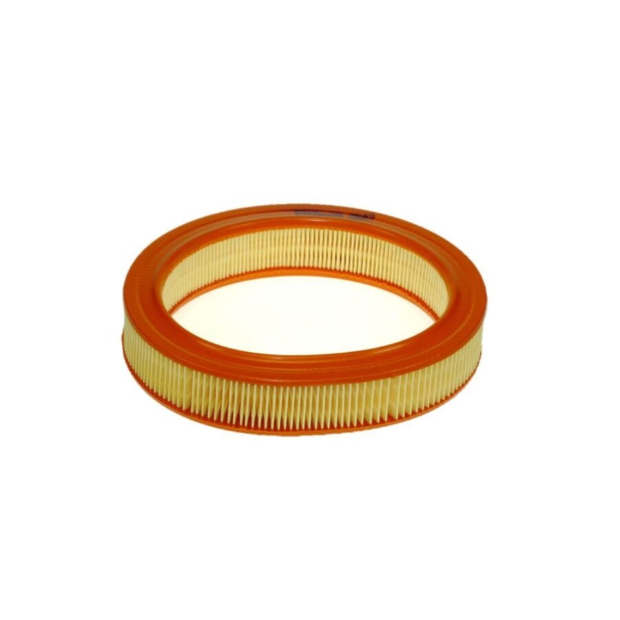 Filtro aria PURFLUX A649