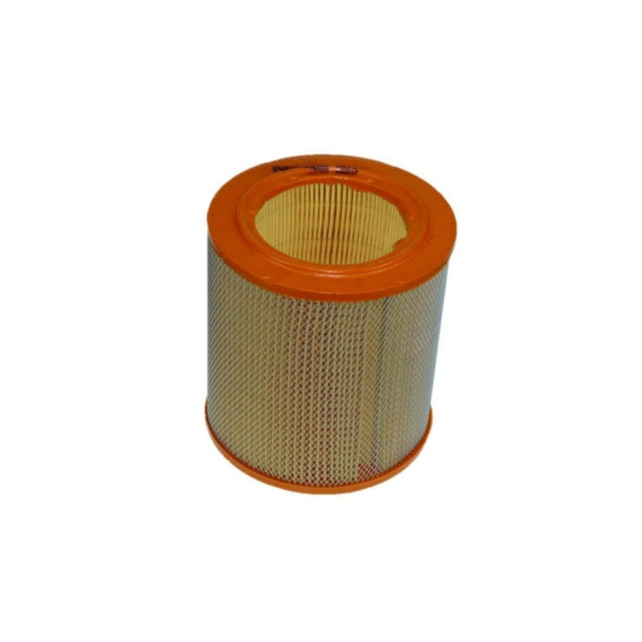 Filtro aria PURFLUX A818