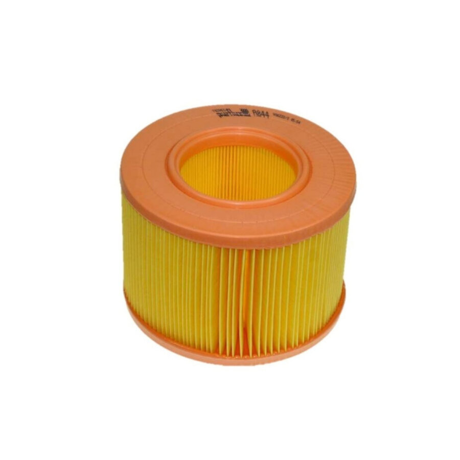 Filtro aria PURFLUX A844