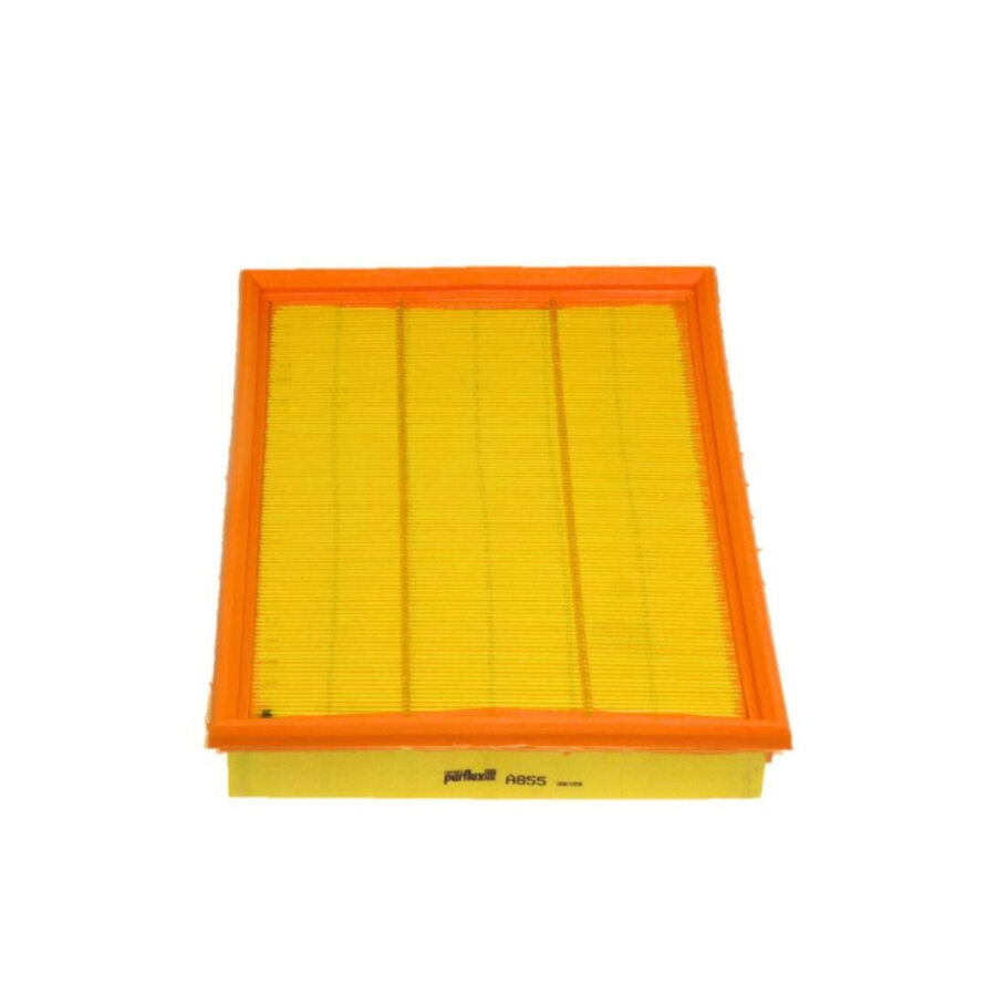 Filtro aria PURFLUX A855