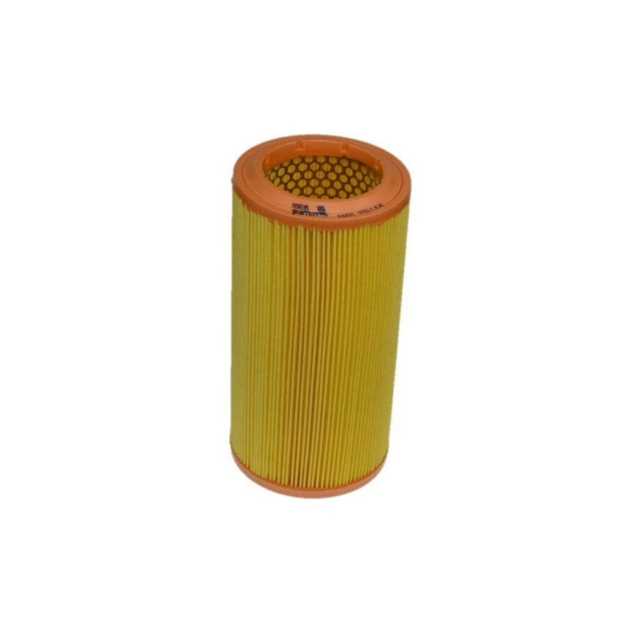 Filtro aria PURFLUX A859