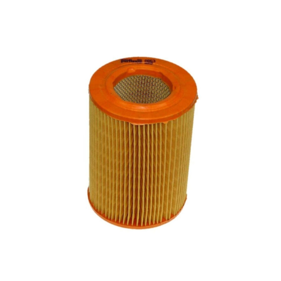 Filtro aria PURFLUX A863