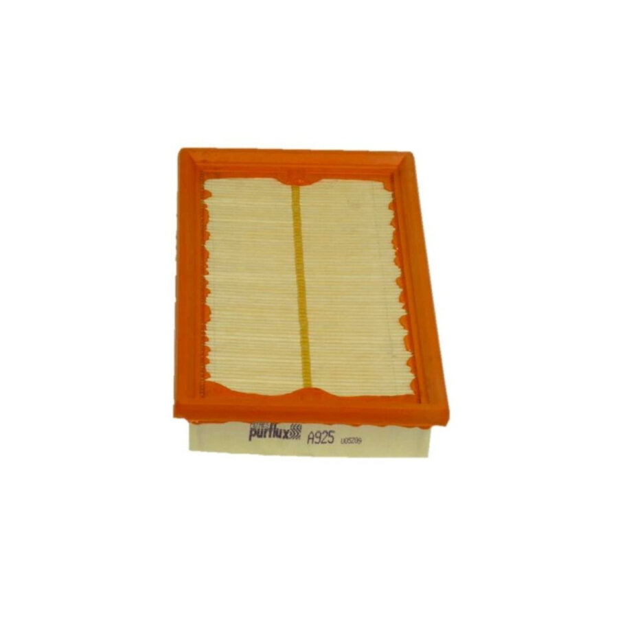 Filtro aria PURFLUX A925
