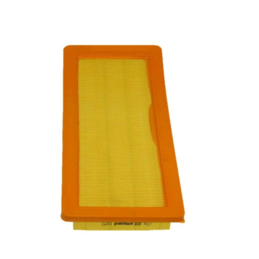 Filtro aria PURFLUX A927