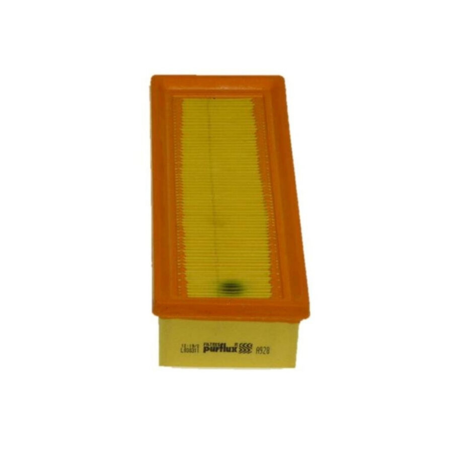 Filtro aria PURFLUX A928