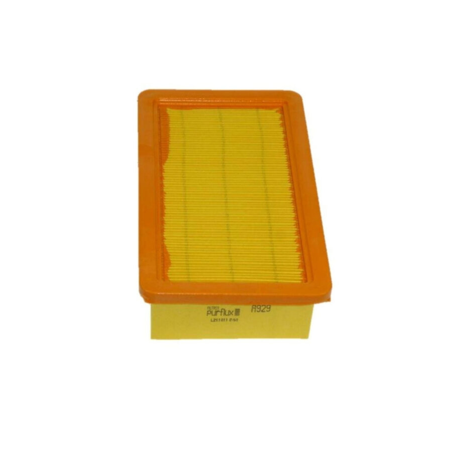 Filtro aria PURFLUX A929