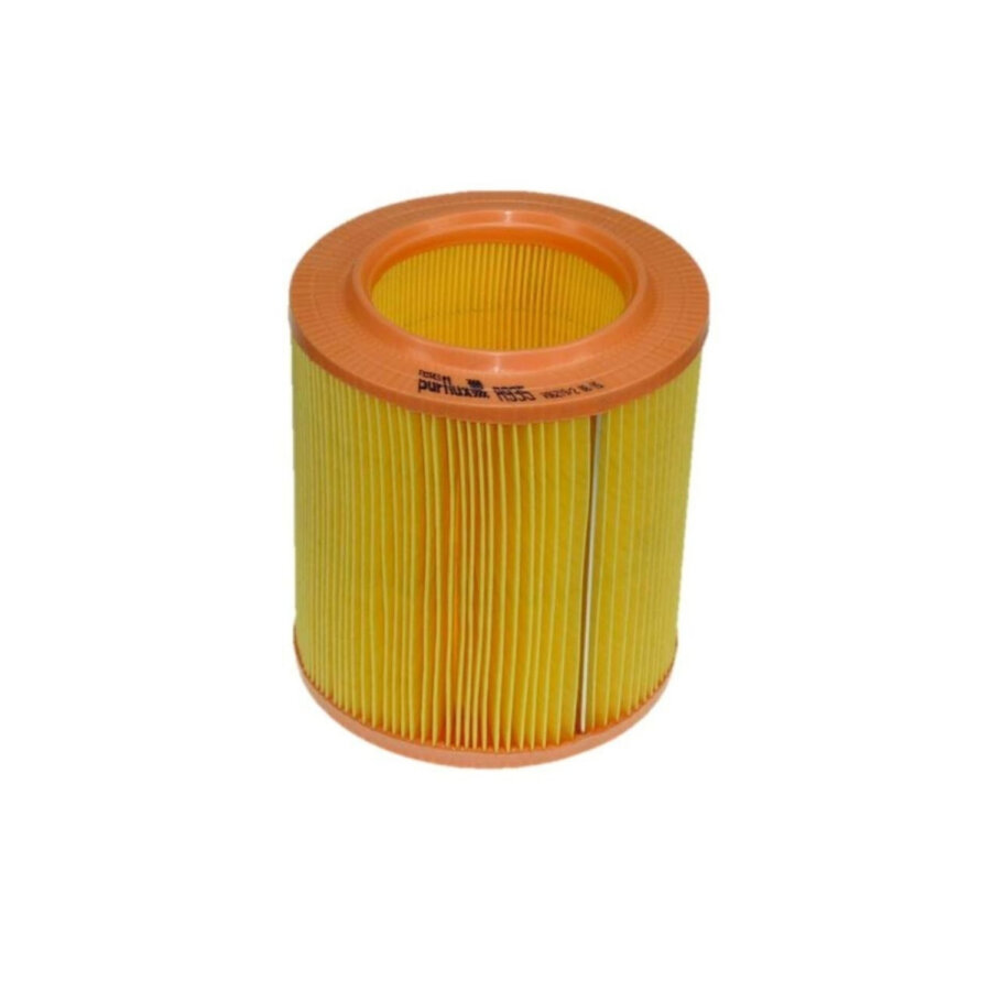 Filtro aria PURFLUX A935