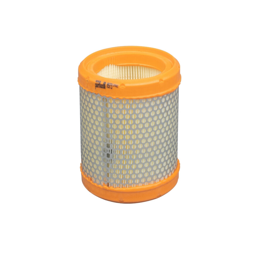 Filtro aria PURFLUX A973