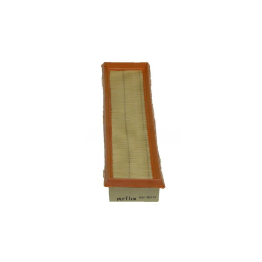 Filtro aria PURFLUX A219