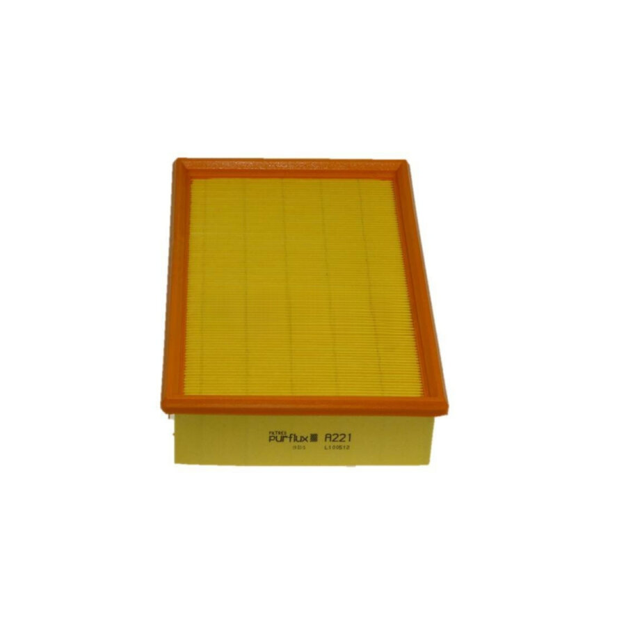 Filtro aria PURFLUX A221