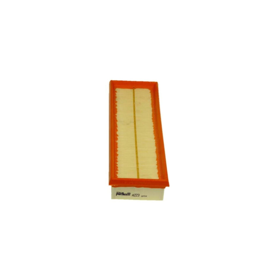 Filtro aria PURFLUX A223