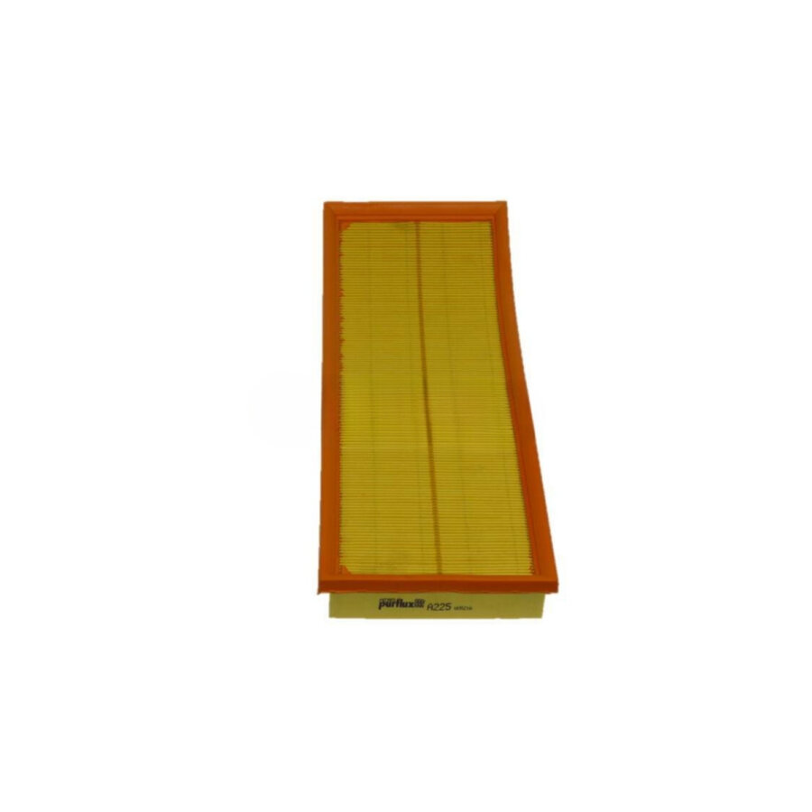 Filtro aria PURFLUX A225