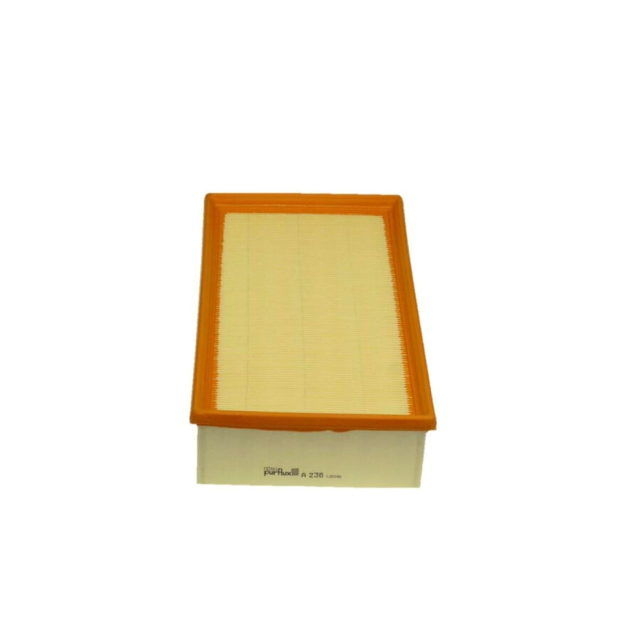Filtro aria PURFLUX A236