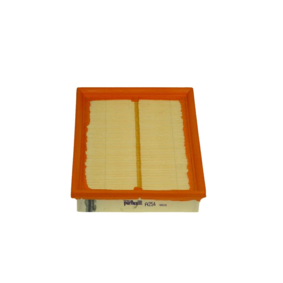 Filtro aria PURFLUX A254