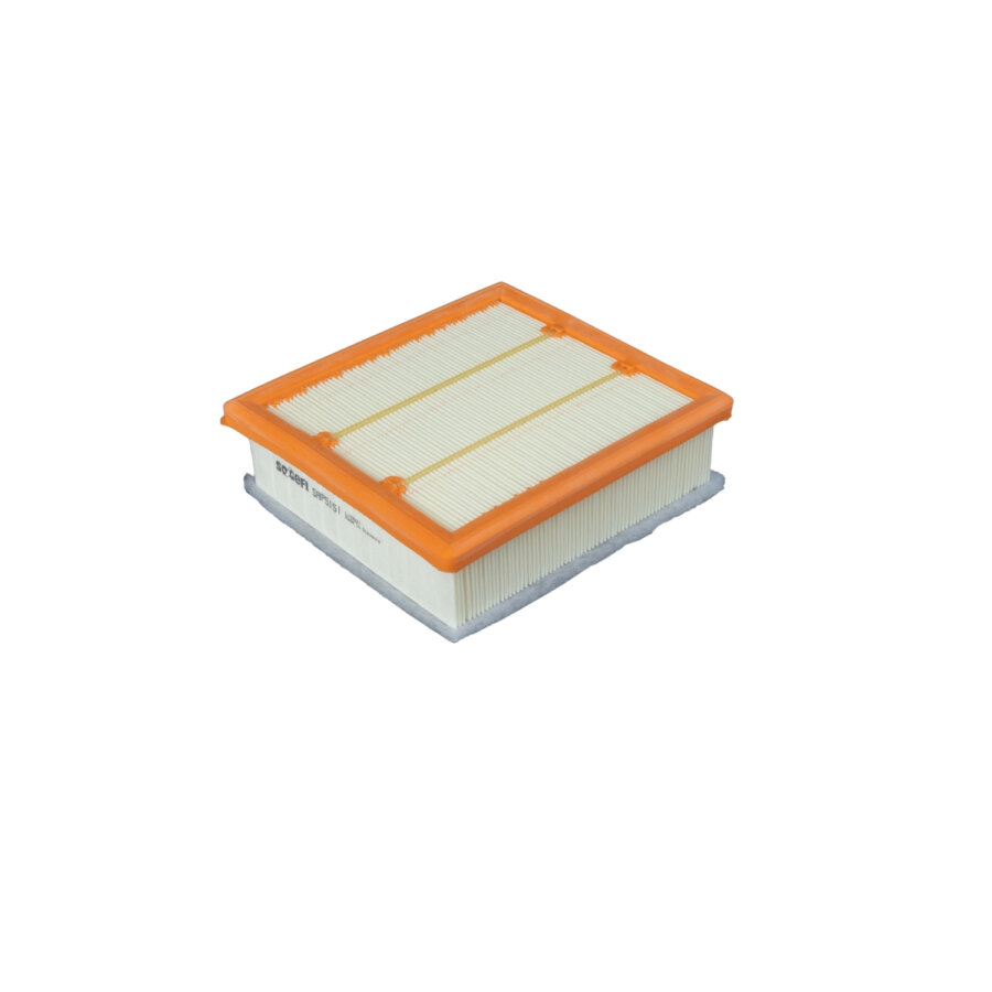 Filtro aria PURFLUX A258