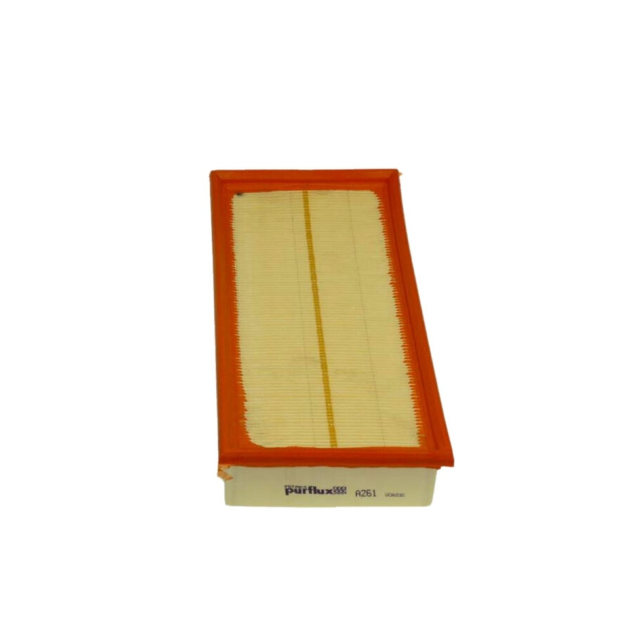 Filtro aria PURFLUX A261