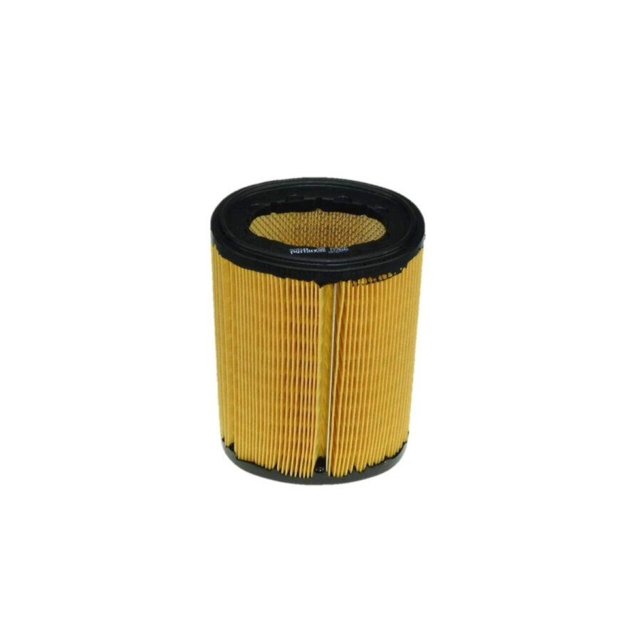 Filtro aria PURFLUX A266