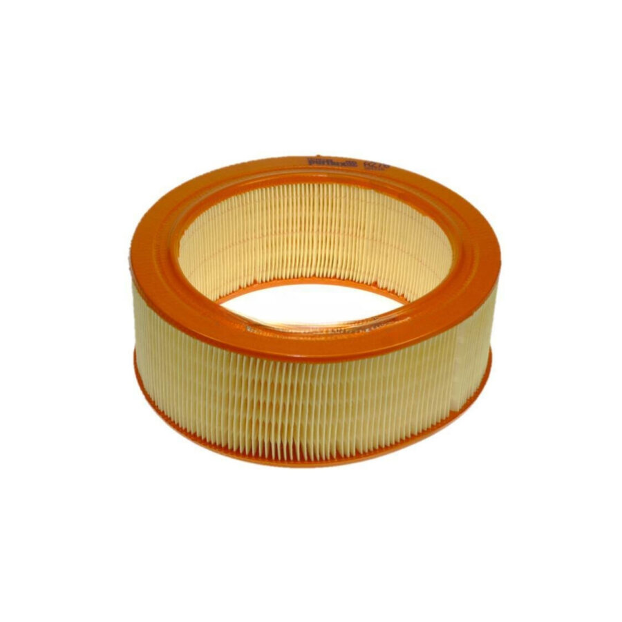Filtro aria PURFLUX A278