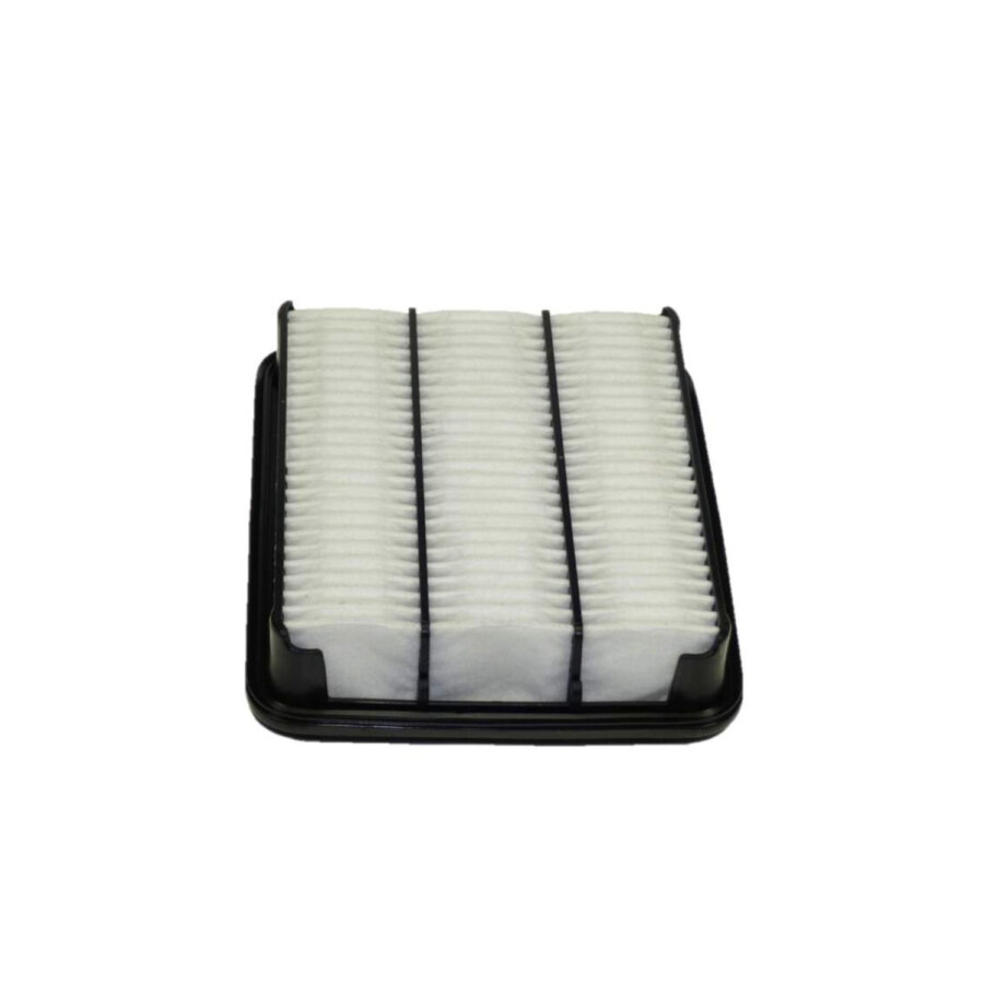 Filtro aria PURFLUX A304