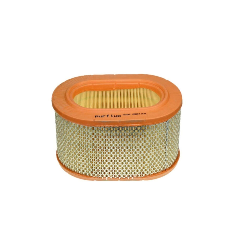 Filtro aria PURFLUX A306