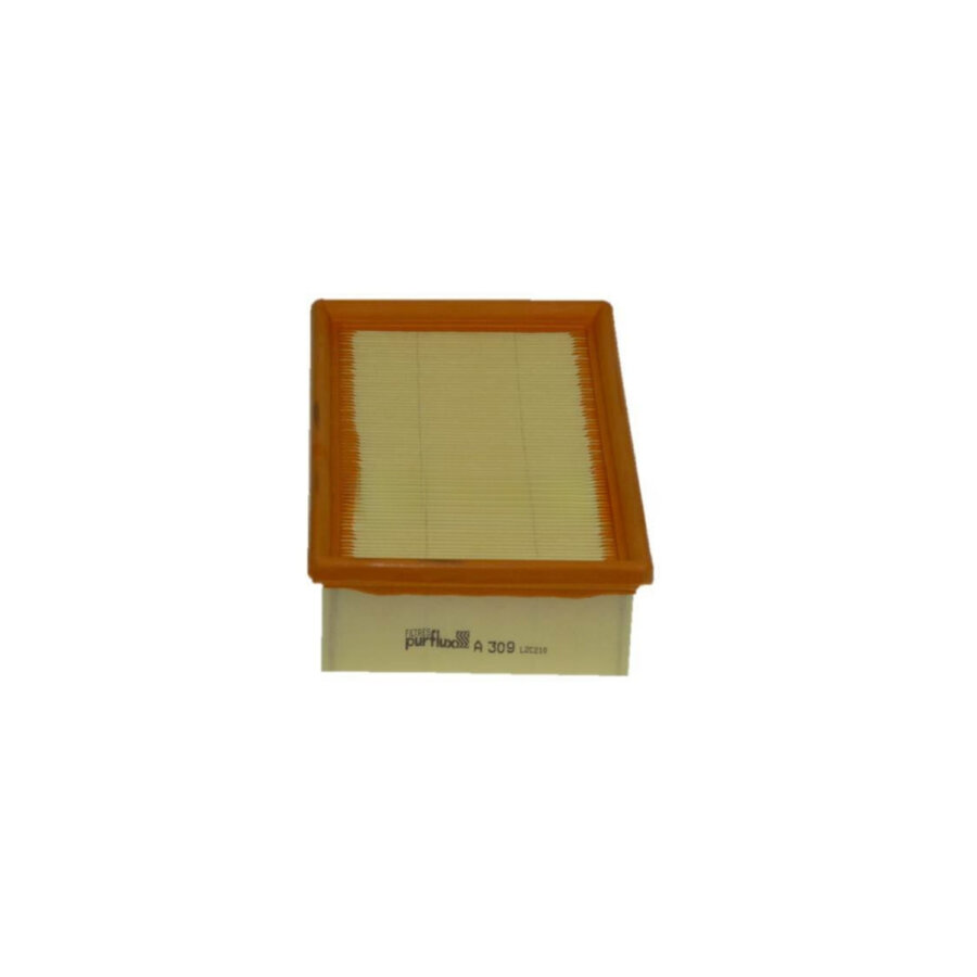 Filtro aria PURFLUX A309