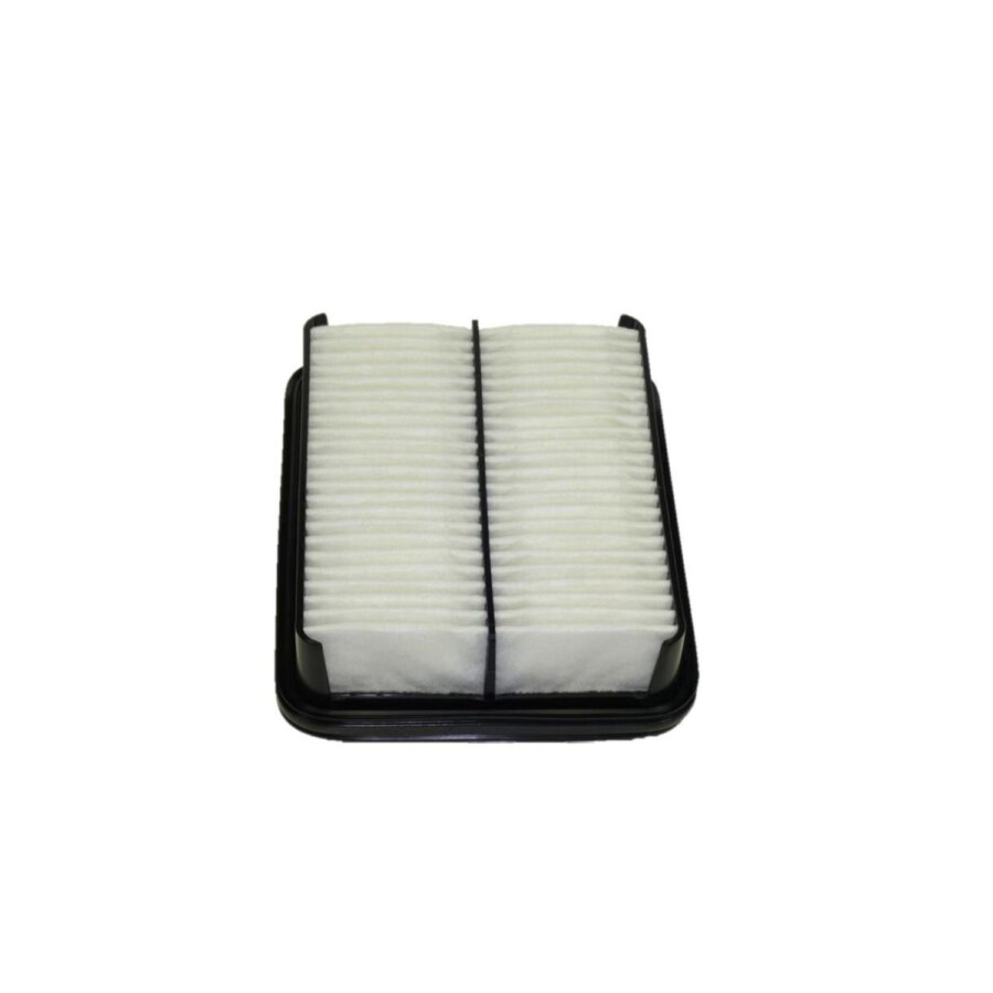Filtro aria PURFLUX A318