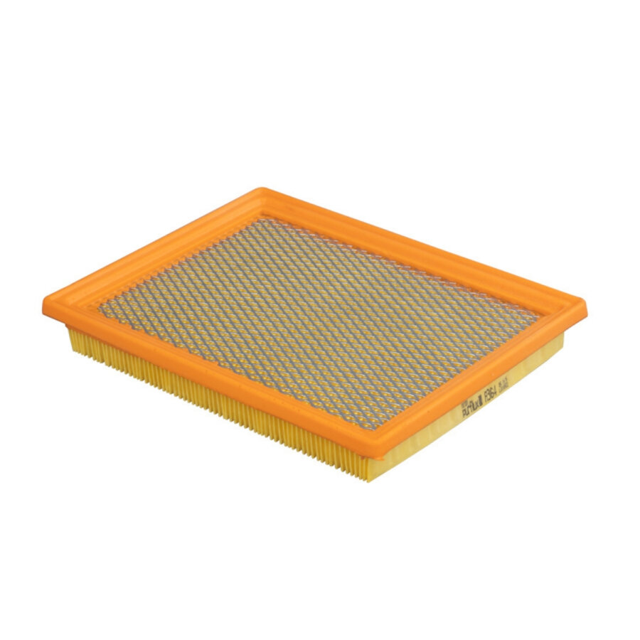 Filtro aria PURFLUX A364