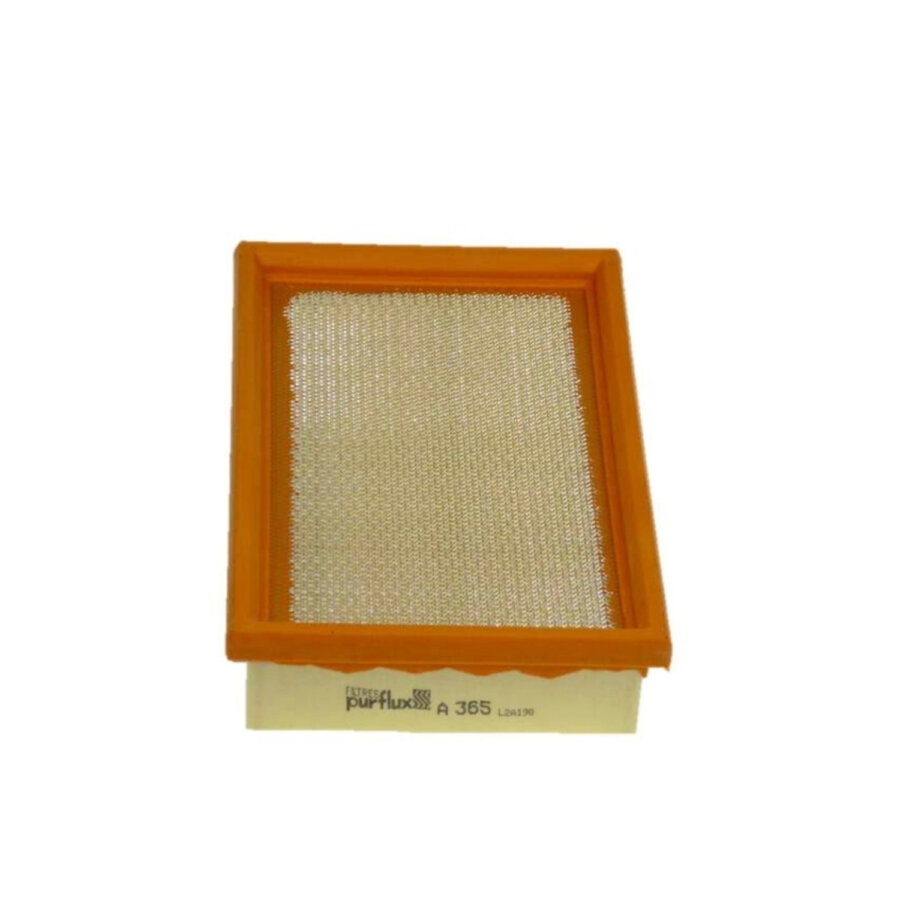 Filtro aria PURFLUX A365
