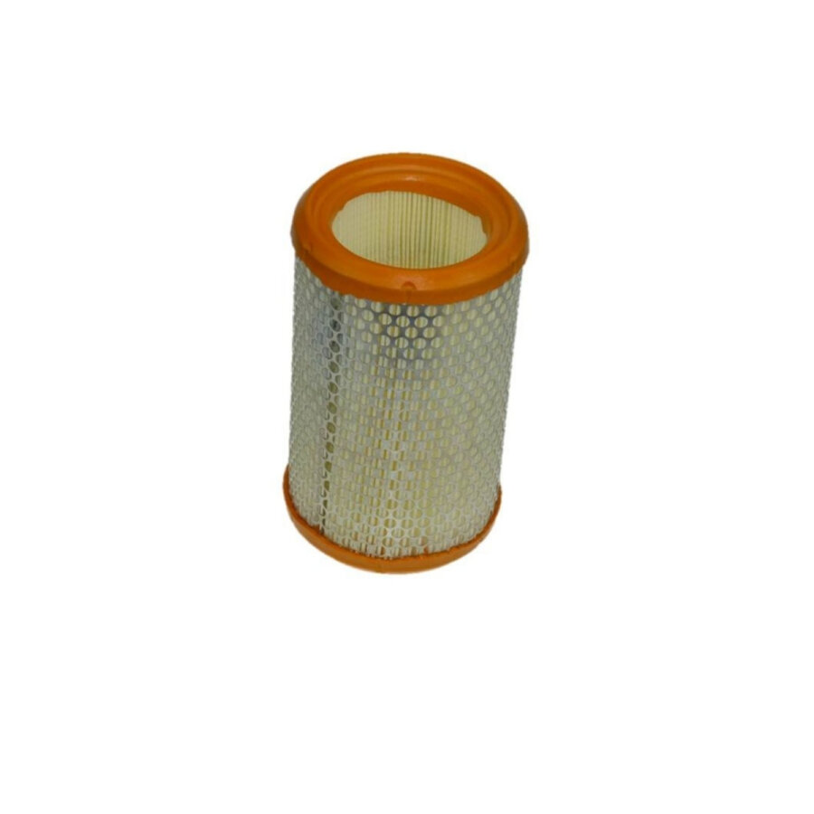 Filtro aria PURFLUX A369