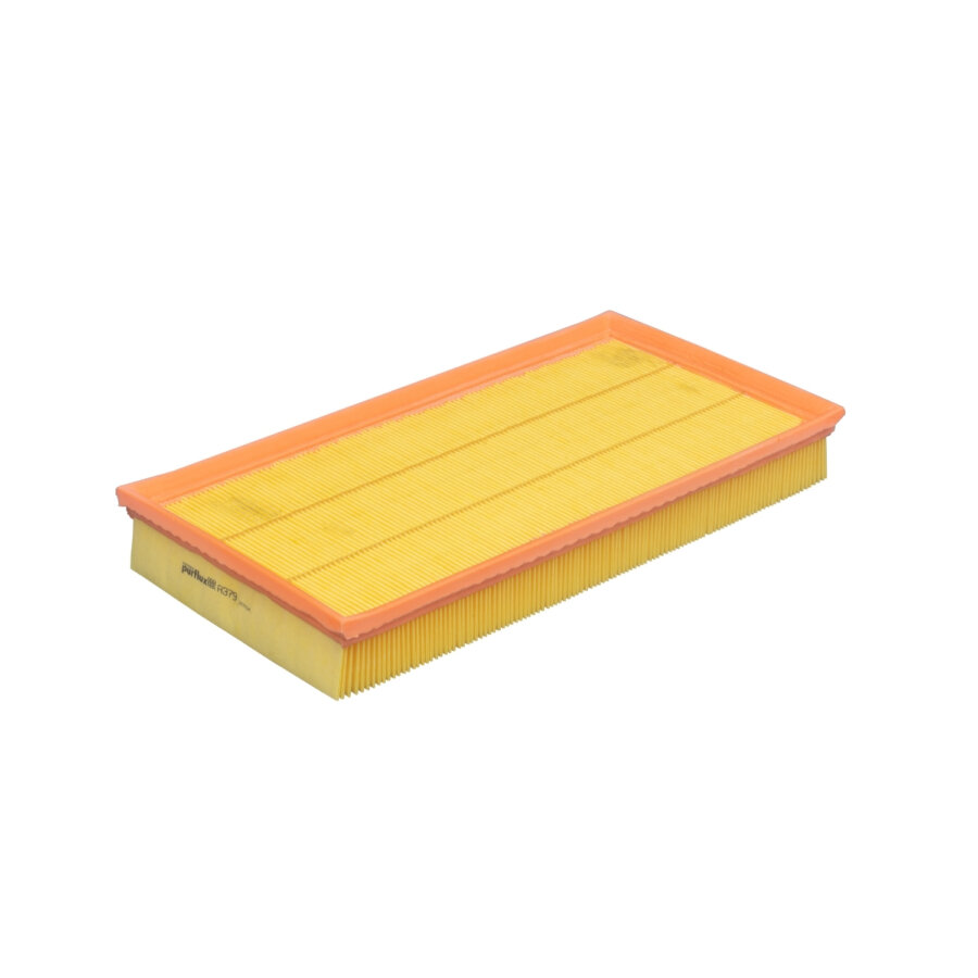 Filtro aria PURFLUX A379