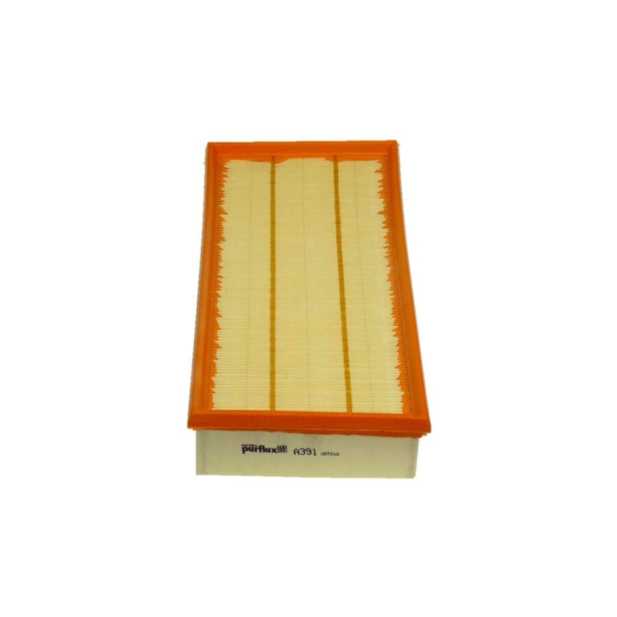 Filtro aria PURFLUX A391