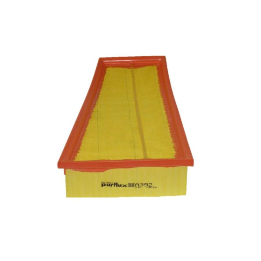 Filtro aria PURFLUX A392