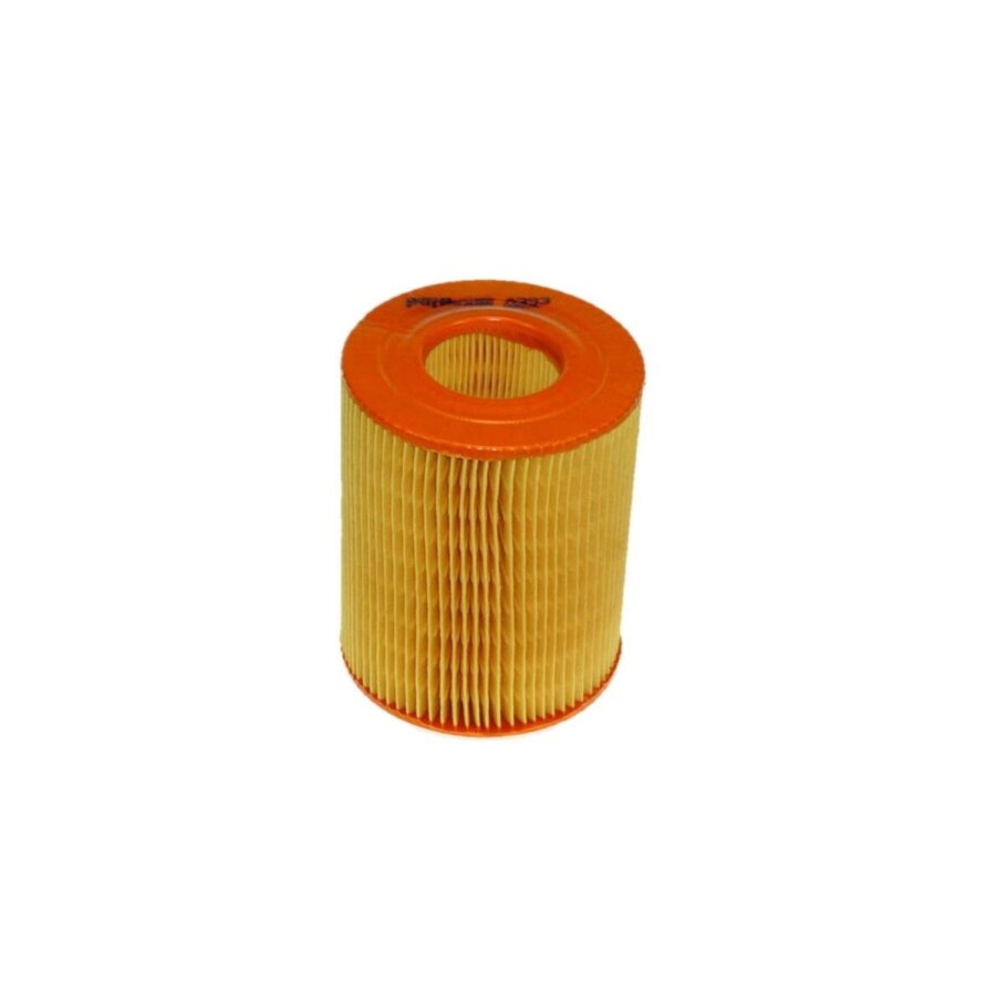 Filtro aria PURFLUX A393
