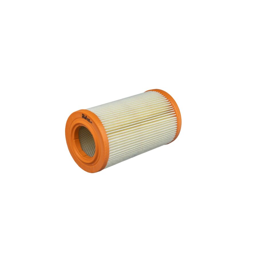 Filtro aria PURFLUX A1009