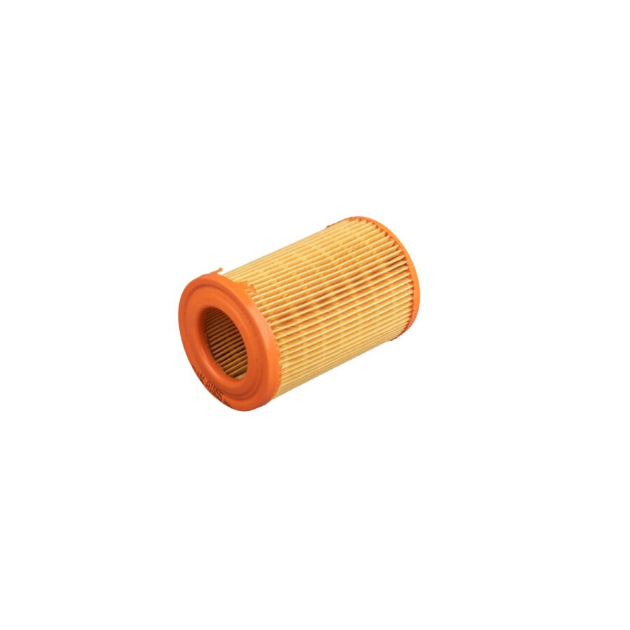 Filtro aria PURFLUX A1055