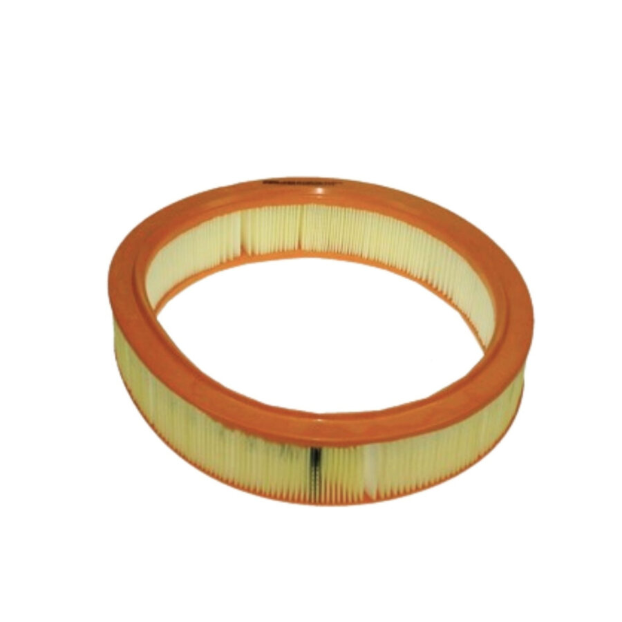 Filtro aria PURFLUX A1058